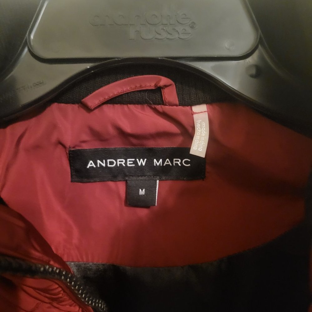 Jacket - Picture 3 of 3